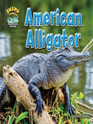 cover image of American Alligator